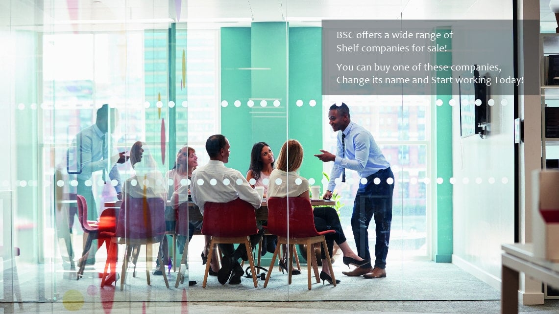 Why You Need Shelf Company BSC & Associates LLP